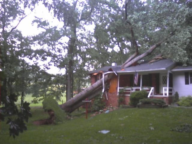 Tree versus House - Trixsam Road - June 2008