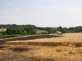 Brush Fire - Streaker Road - July 2010