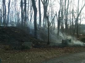 January 2011 - Woods Fire - 2300 block of West Liberty Road